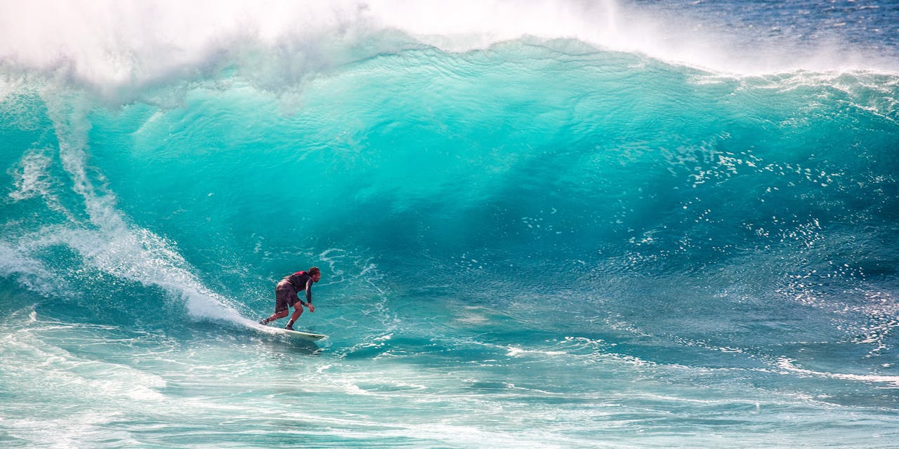 Vague de surf puissante en hiver